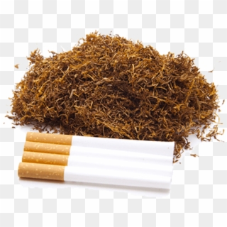 Tobacco - Zigaretten Und Tabak Clipart (#5176270) - PikPng