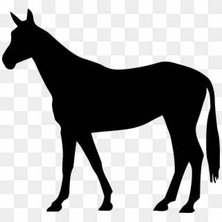 Horse Thin Black Standing Shape Of Long Tail Facing - Horse Shape Clipart