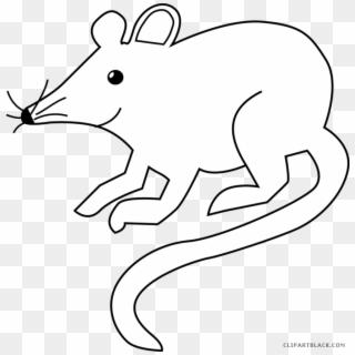 Rat Mouse Clipart White - Rat Black And White Clipart - Png Download