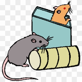 Cartoon Picture Of A Rat Free Download Clip Art - Rat Is In The Box Cartoon - Png Download
