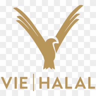 Premium Halal Hautpflege - Golden Eagle Clipart