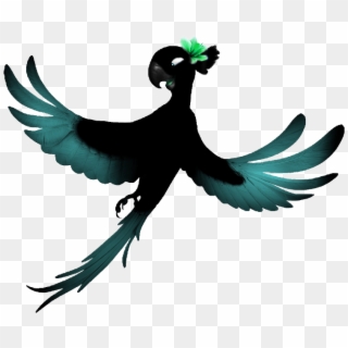 #rio #jewel #crow #blu #raven #black #lol #helpme - Perroquet Rio Dessin Couleur Clipart