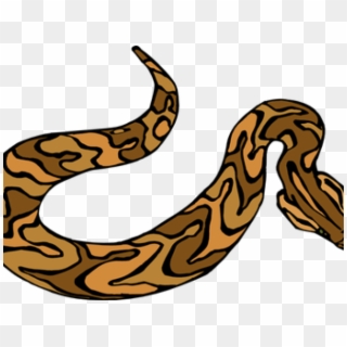 Brown Snake Clipart - Png Download