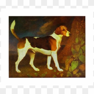 A Foxhound, Ringwod - George Stubbs Dog Paintings Clipart