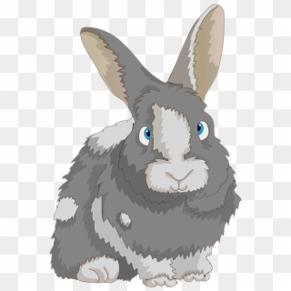Rabbit, Cute, Dwarf Rabbit, Long Eared, Bunny, Hare - Królik Png Clipart