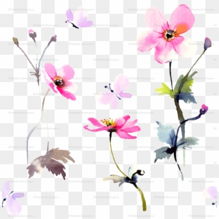 Moth Orchid Clipart