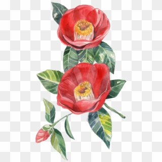 Download Chanel Corsage Camellia Set Rose Clipart 5249389 Pikpng