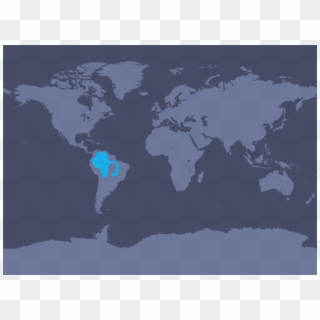 This Following Map Shows The Distribution Of Amazon - Southern Right Whale Dolphin Range Clipart