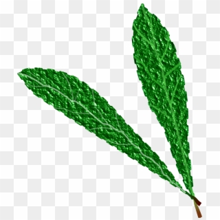 This Free Icons Png Design Of Green Leaves, - Gambar Daun Hijau Background Putih Clipart