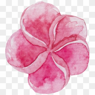 Watercolour Watercolor Sticker Ftestickers Flowers - Sweet Pea Clipart