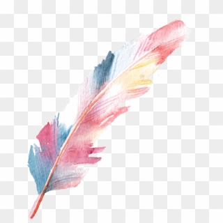 Pluma Png - Watercolor Painting Clipart