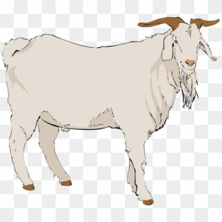 Goat Clipart - Goat Clipart Png Transparent Png