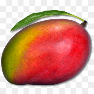 Mango Png Free Download - Png Image Of Mango Clipart