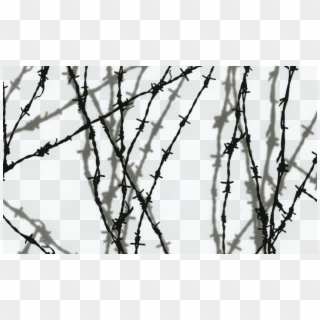 Shadow Barbed Wire Ll-209 - Barb Wire Clipart