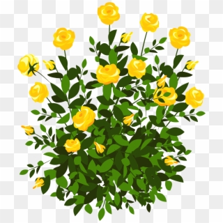 Yellow Rose Bush Png Clipart Picture - Yellow Rose Bush Png Transparent Png