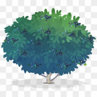 600 X 535 7 - Blueberry Tree Png Clipart