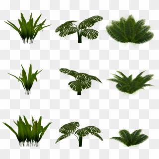 Bushes Clipart