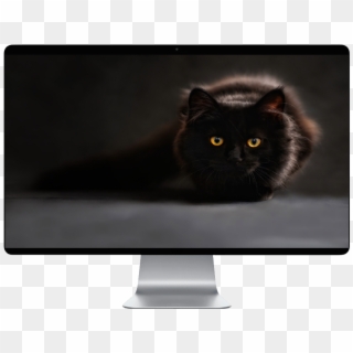 Score 50% - Hd Pc Wallpaper Black Cat Clipart