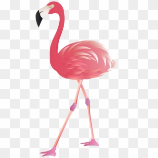 Flamingo Png Clip Art Image - Clip Art Flamingo Png Transparent Png