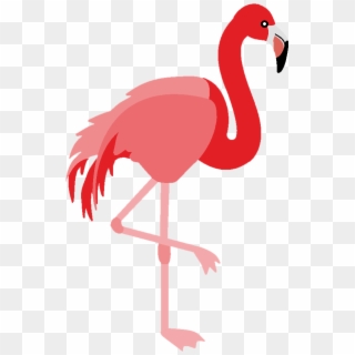 Flamingo Bird Vector Png Clipart