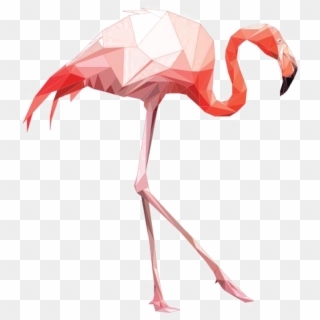 564 X 704 5 - Pink Flamingo High Res Clipart
