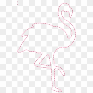 Flamingo 674 × 1 013 Pixels - Greater Flamingo Clipart