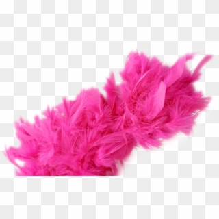 Comments - Pink Boa Feathers Png Clipart