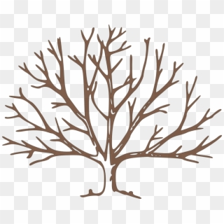 Null - Draw A Winter Tree Clipart