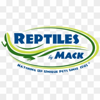 Reptiles By Mack Clipart