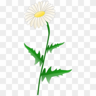 Daisy Clip Art - Png Download
