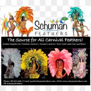 When We Are Talking Feathers, Careful Selection Must - Carnival Clipart