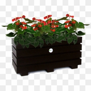$99,900 - Flowerpot Clipart