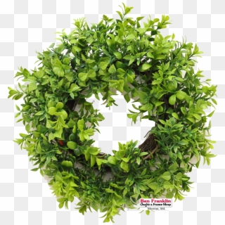 We Have Assorted Green Wreaths That Are Ready To Hang - Parsley Wega Clipart