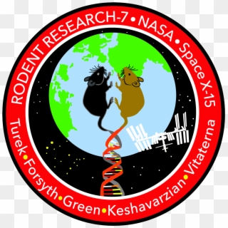 Rodent Research-7 Mission Patch - Rodent Research 6 Logo Clipart