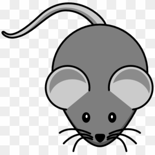 Small - Mouse Clip Art - Png Download