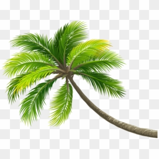 Palmtree Sticker - Summer Coconut Tree Clipart - Png Download