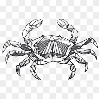 Zodiac Drawing Crab - Cangrejo Cancer Clipart
