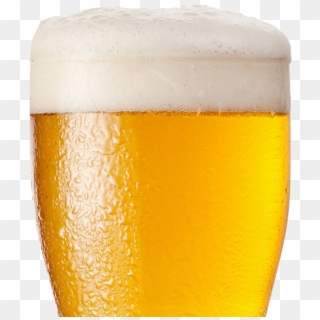 Light Beers - Lager Clipart