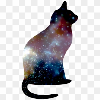 Cat In Space - Cat In Space Png Clipart