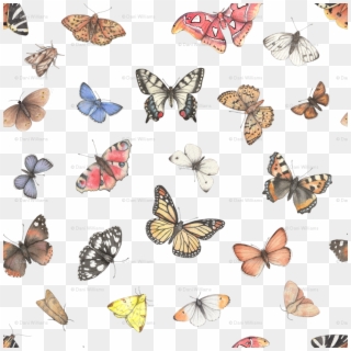 Small Print Wallpaper - Colourful Butterflies Png Clipart