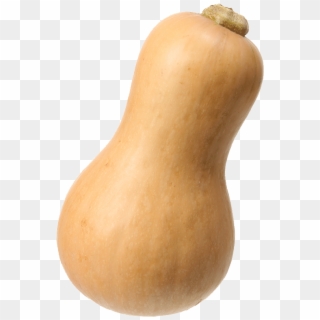 Gourd Clipart
