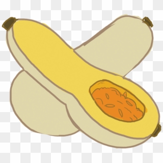 This Is The Squash Everybody Knows - Squash Clip Art - Png Download