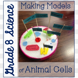 Grade 8 Animal Cell Models - Parallel Clipart