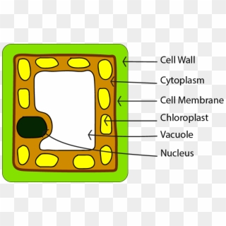 Cell Clipart