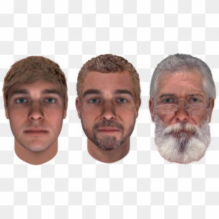 1687 X 896 20 0 - Beard Progression With Age Clipart