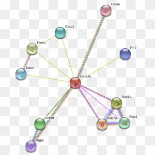 Circle Clipart