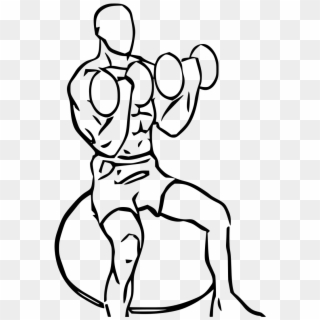 Biceps Curl Seated On Stability Ball With Dumbbell - Standing Dumbbell Curls Drawings Clipart