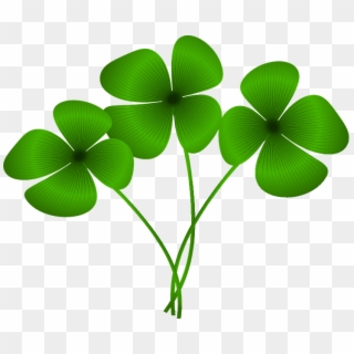 Clover Clipart Good Luck - Free Clipart Four Leaf Clover - Png Download
