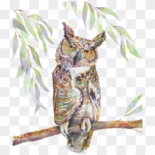 Great Horned Owl By Amy Kirkpatrick - Great Horned Owl Clipart