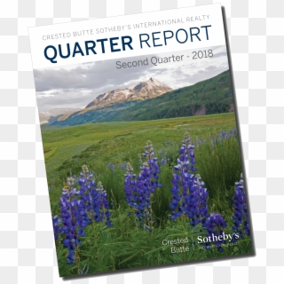Second Quarter Real Estate Market Report For - Texas Bluebonnet Clipart